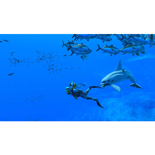 Endless Ocean Luminous My Nintendo Store