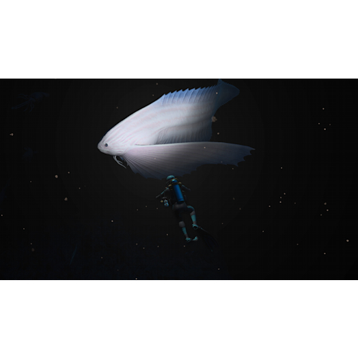 Endless Ocean Luminous My Nintendo Store