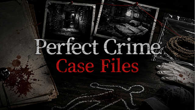 Image de Perfect Crime Case Files