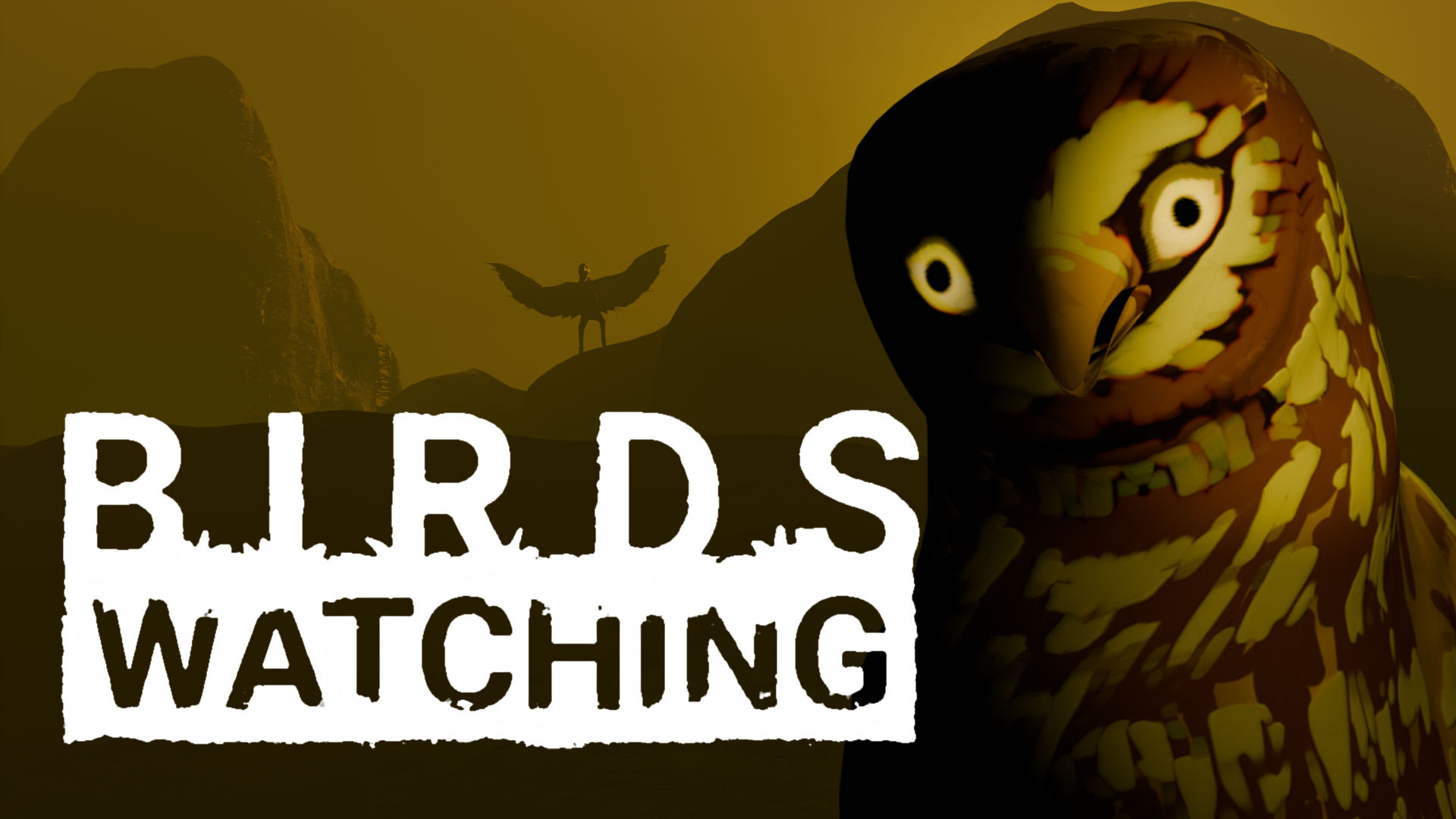Birds Watching 