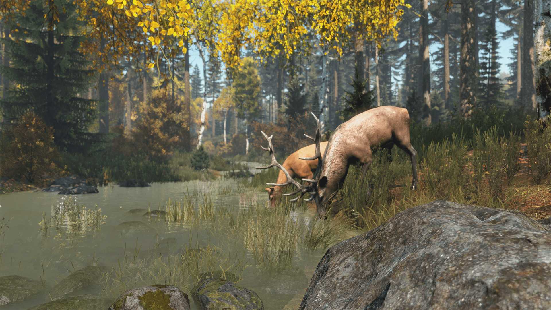 DayZ: Cool Edition, screenshot 7
