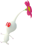 Evergreen - Pikmin 4 Pikmin Asset 6