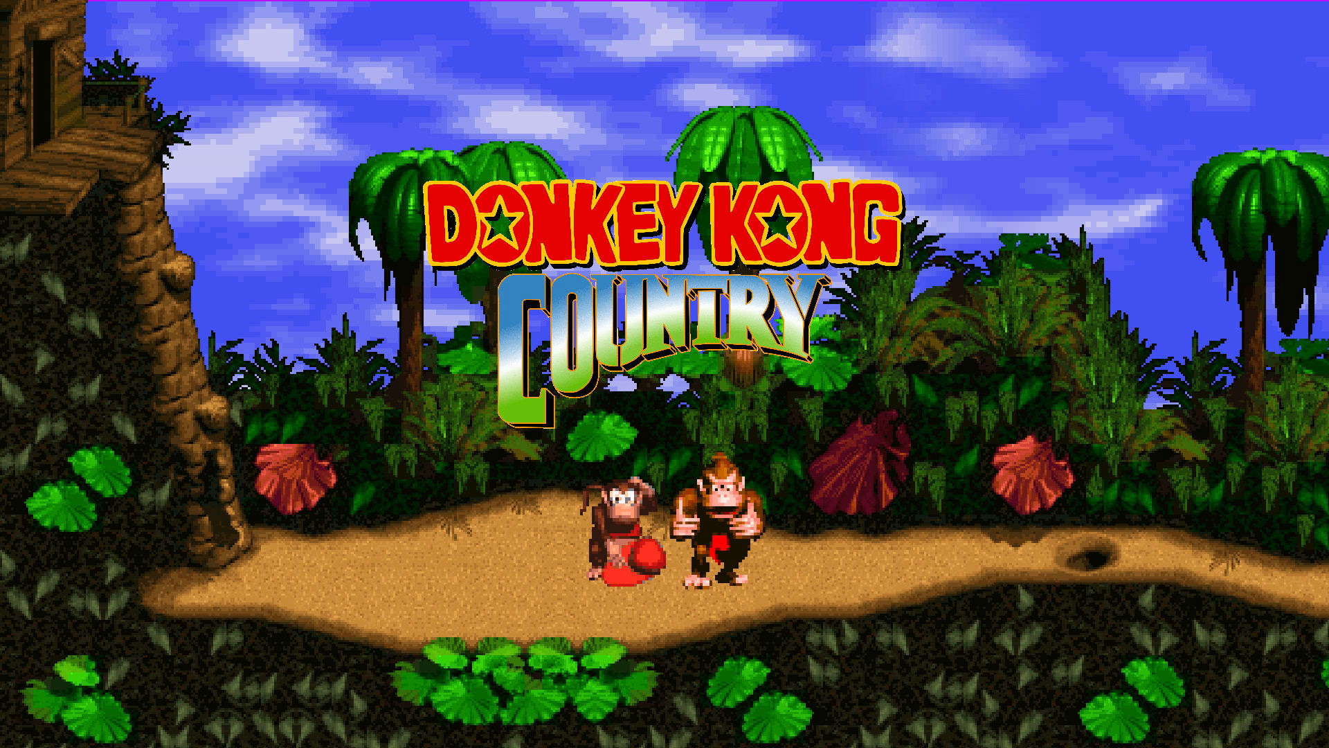 Donkey Kong Country Areas Donkey Kong Country Areas