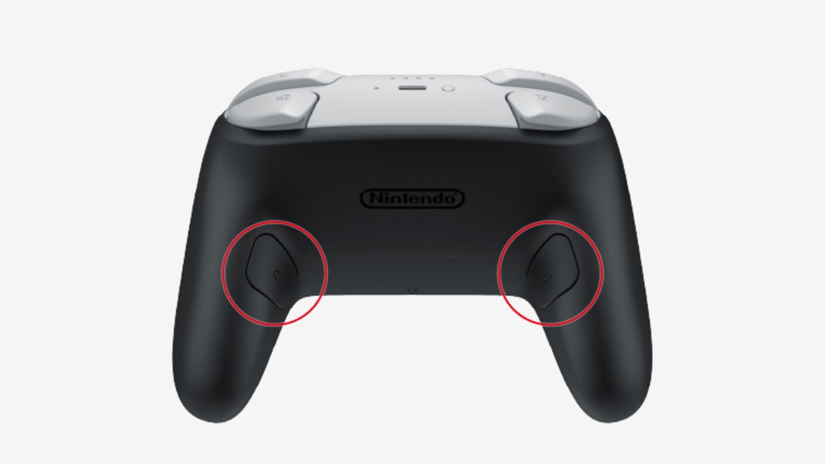 Ask the Developer Vol. 16: Nintendo Switch 2 — Part 2 - Image 5