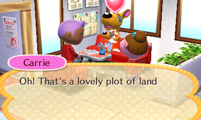 Animal Crossing: Happy Home Designer