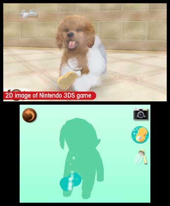 nintendogs + cats: Golden Retriever & New Friends