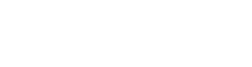 nes_logo_white.png