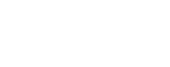 snes_logo_white.png
