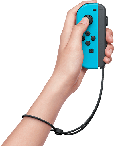 CI_NSwitch_Everybody12Switch_HW_JoyCon.png