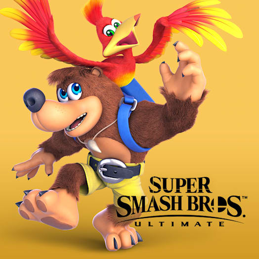 Kämpfer-Paket „Banjo und Kazooie“