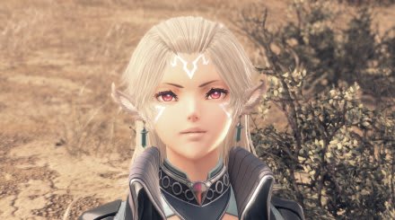 CI_NSwitch_XenobladeChroniclesXDE_screen7.jpg