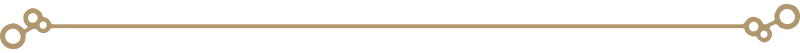 800x200_NSwitch_BOTW_Divider05_1.png