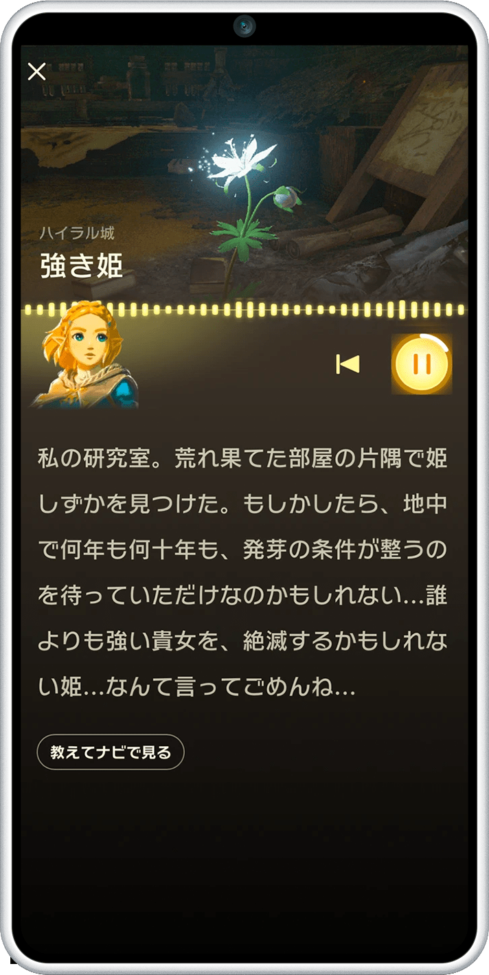 CI_NSwitch2_TLoZZN_FT2.png