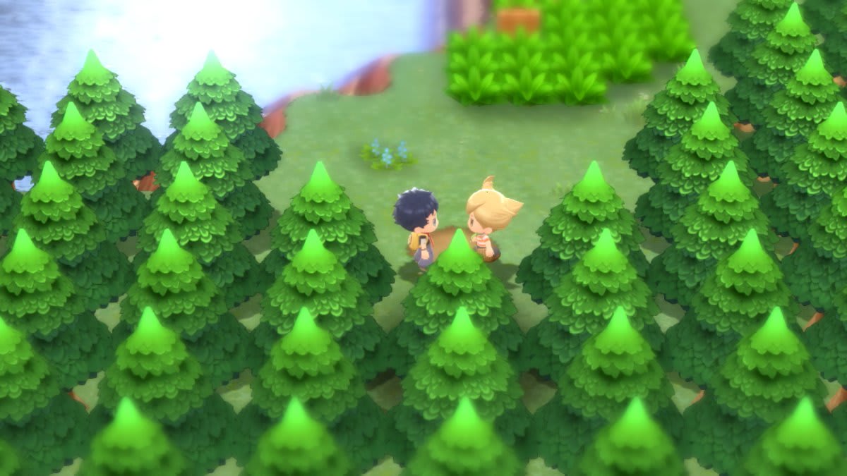 CI_NSwitch_PokemonBDSP_Screenshot_journey2.jpg