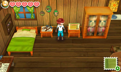 Story of Seasons Screenshot 9
