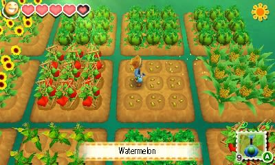Story of Seasons Screenshot 2