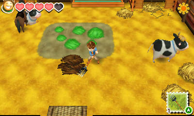 Story of Seasons Screenshot 13