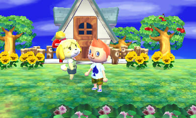 Animal Crossing Welcome amiibo Screenshot 2