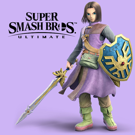 Nintendo Pack del aspirante: Héroe