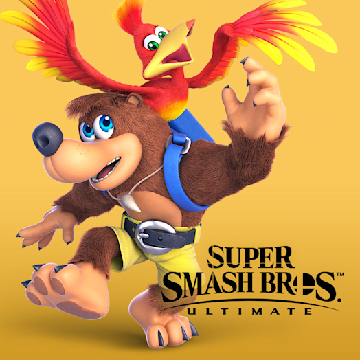 Nintendo Pack del aspirante: Banjo y Kazooie