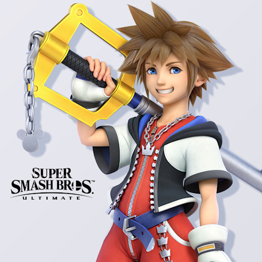 Nintendo Pack del aspirante 11: Sora