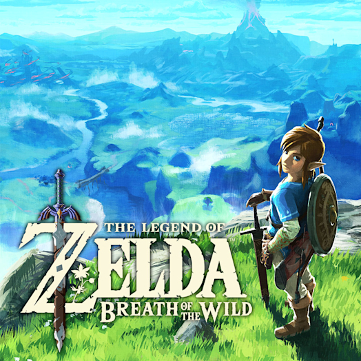 Nintendo Switch (Grey) The Legend of Zelda: Breath of the Wild Pack