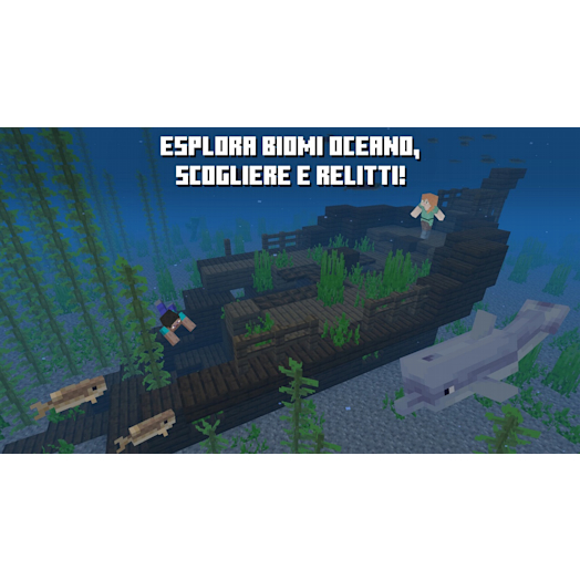 Minecraft My Nintendo Store