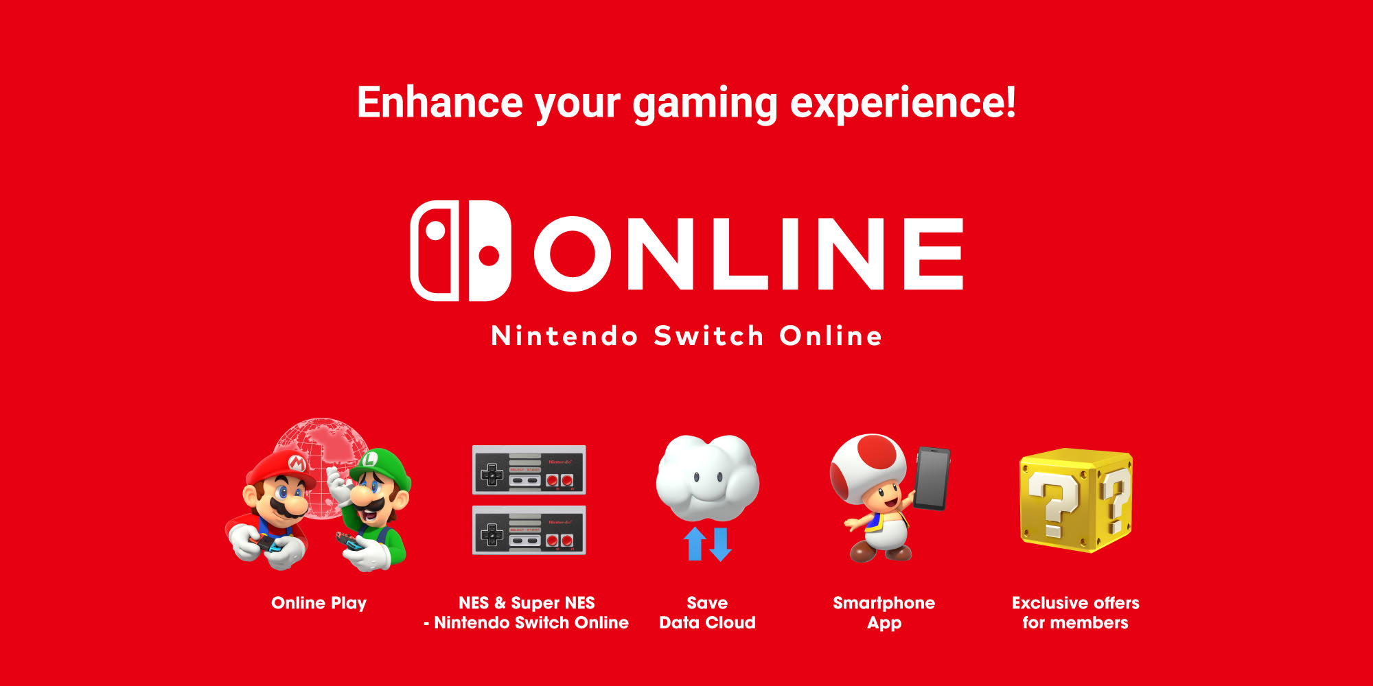 Nintendo Switch Online Asset