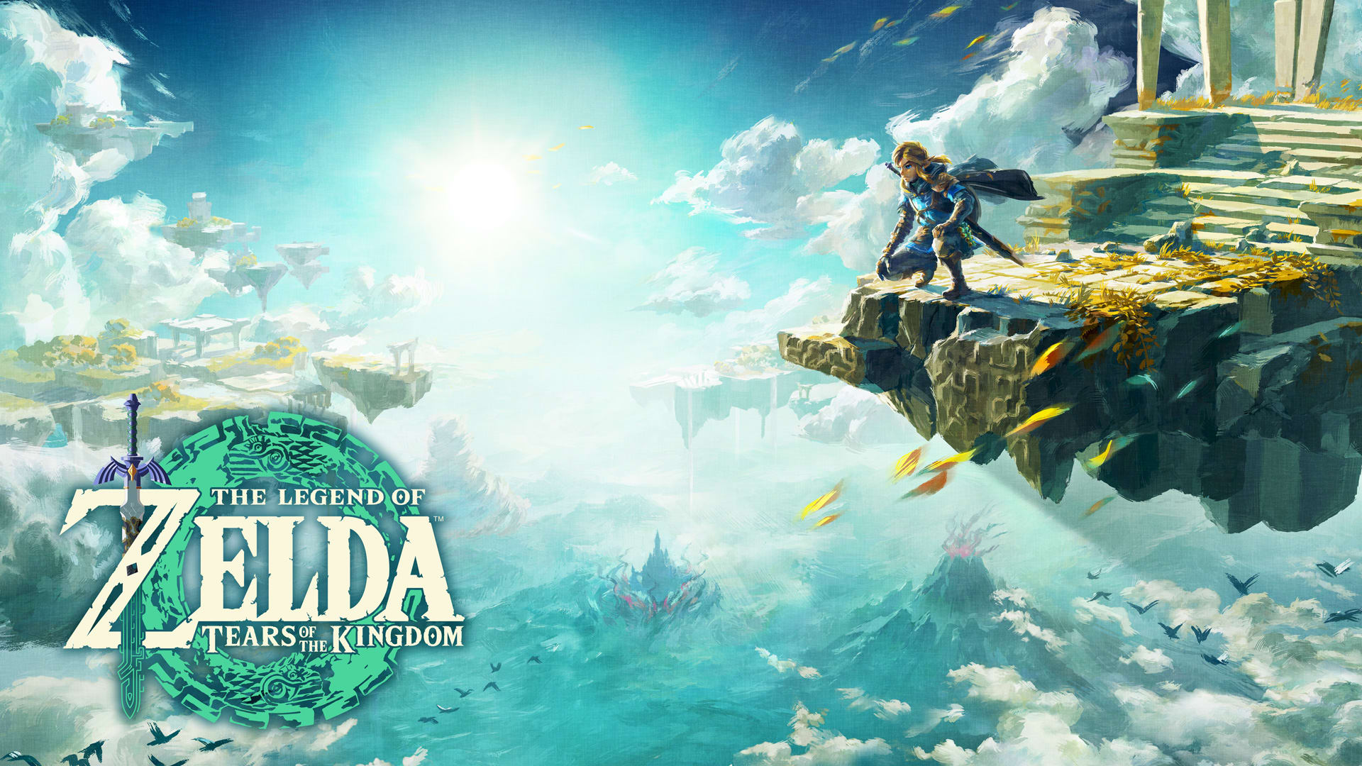 The Legend of Zelda: Tears of the Kingdom Hero