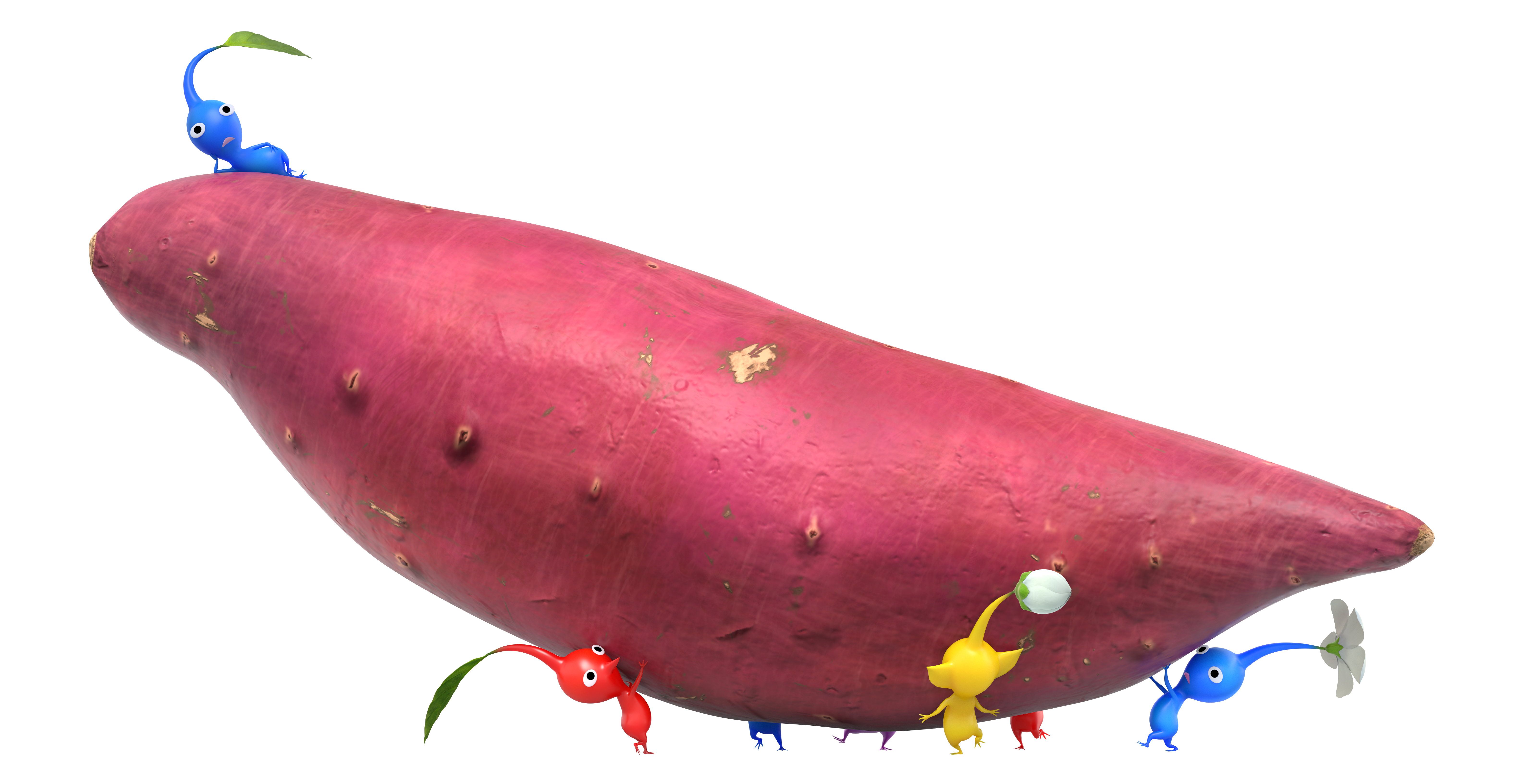 Discover the world of Pikmin - Sweet Potato
