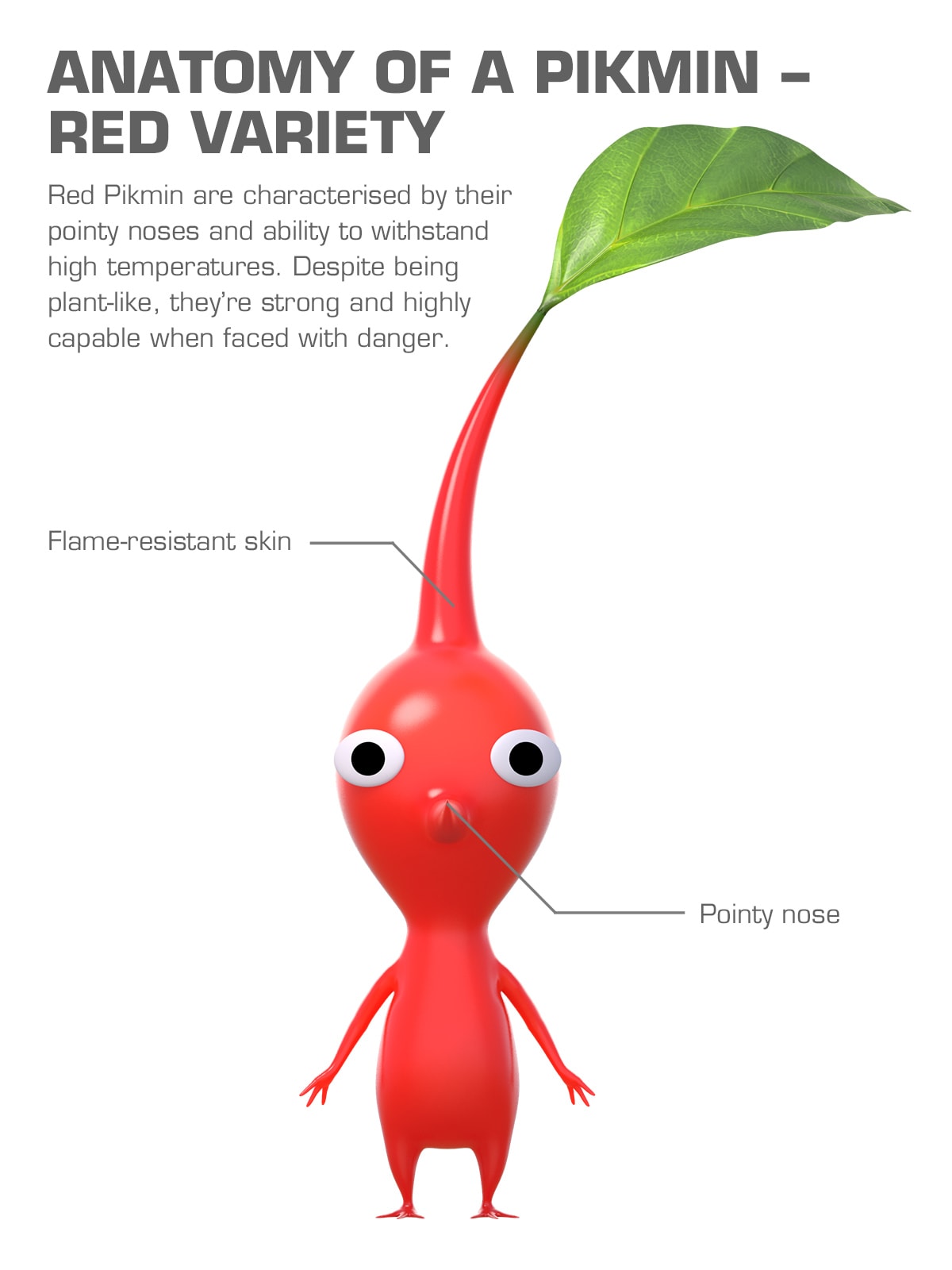 Discover the world of Pikmin - Pikmin Anatomy