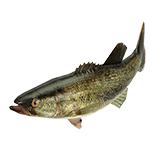 NSwitch_51WorldwideGames_Icons_Fishing.png
