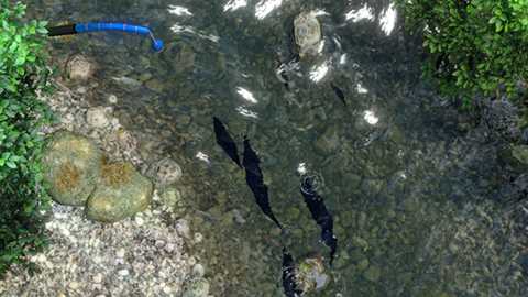 NSwitch_51WorldwideGames_Screenshot_Fishing.jpg