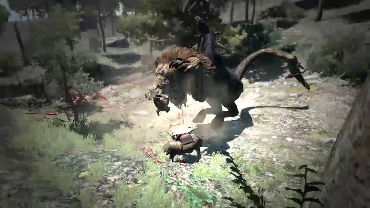 Dragon's Dogma: Dark Arisen | Nintendo Switch download software