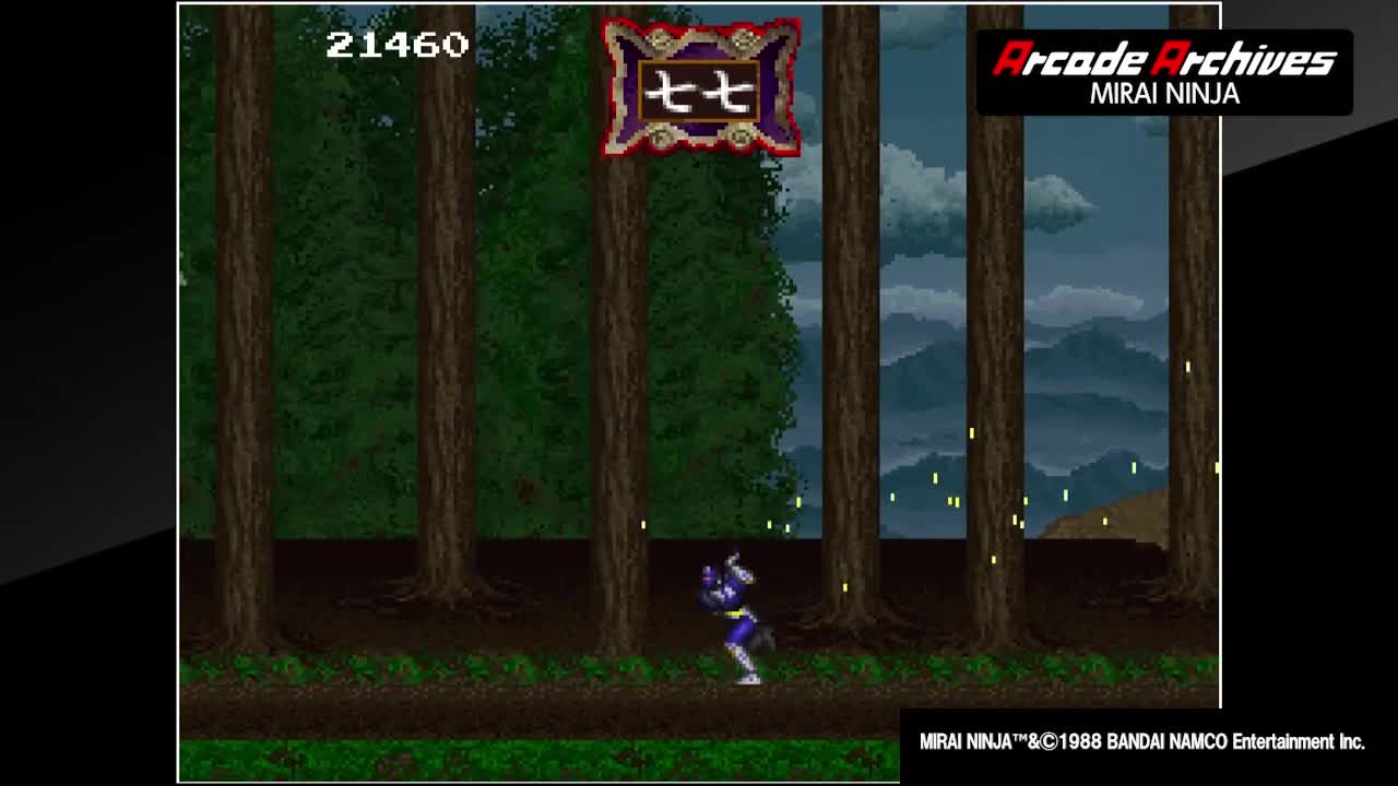 mjwrtnmplftpptwap3hu.jpg