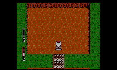 Jeu Blaster Master Pour NES - Jeu Uniquement, Occasion Très Bon état