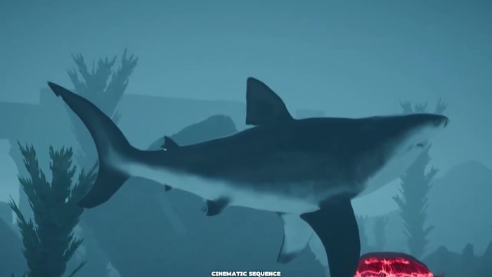 その他 shark predator &#39;23 mqdefault.jpg